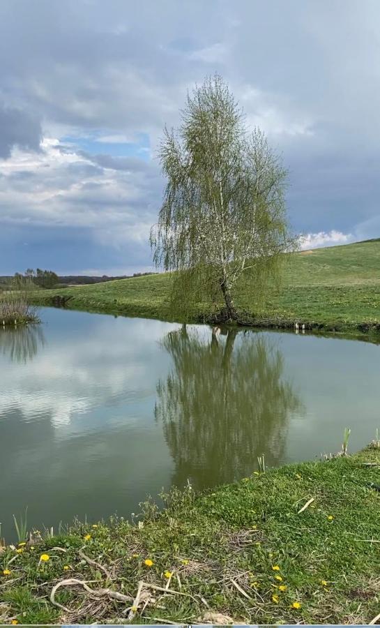 Silice Agroturystyka Nad Jeziorem Silickim Ilinscy מראה חיצוני תמונה